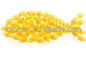 Polvo comestible de la gelatina de los pescados de la escala de la piel de los pescados de CAS 9000-70-8